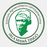 IALA MAMA TINGO